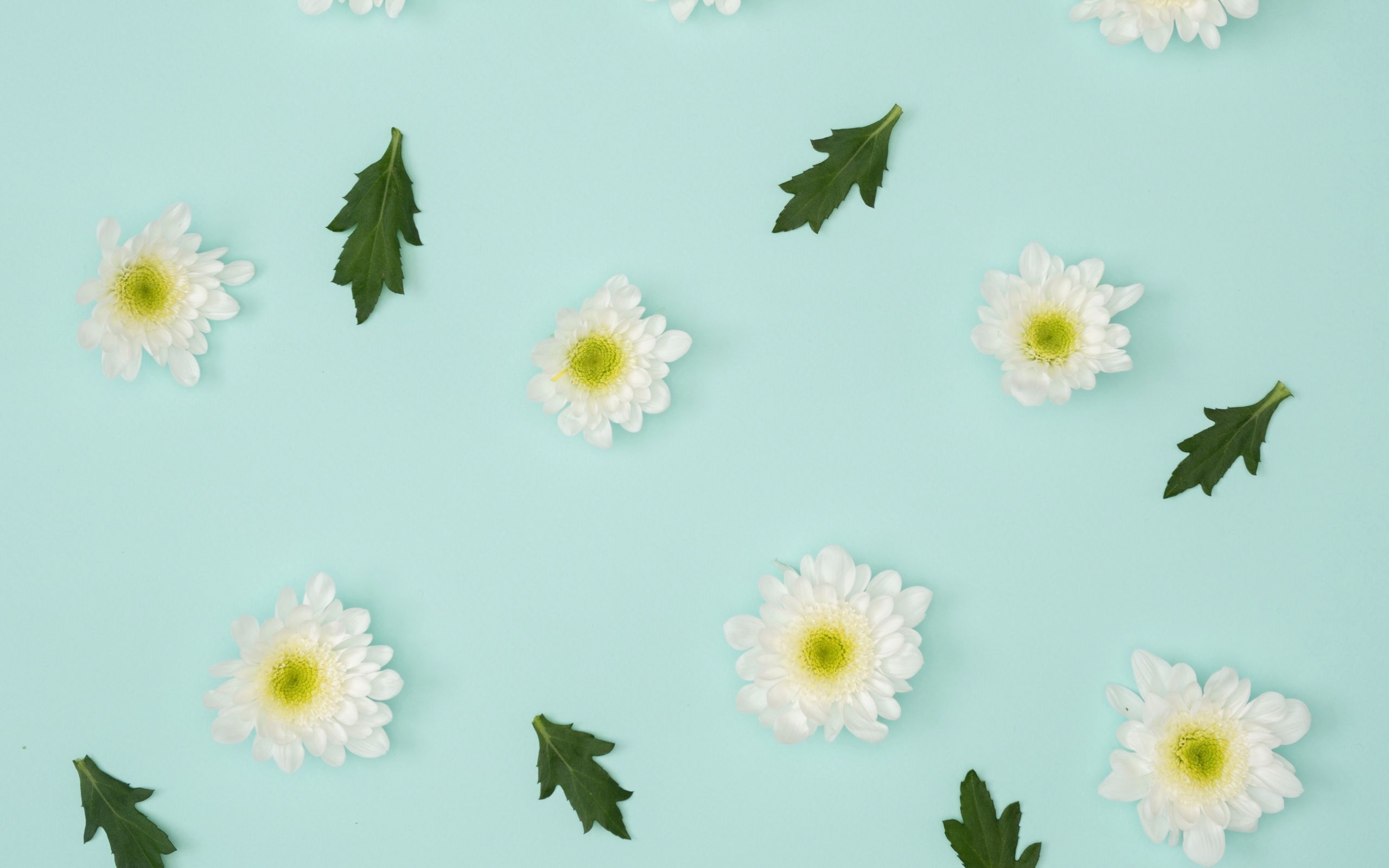 Nature Craft